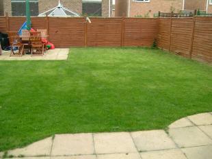 Rear garden