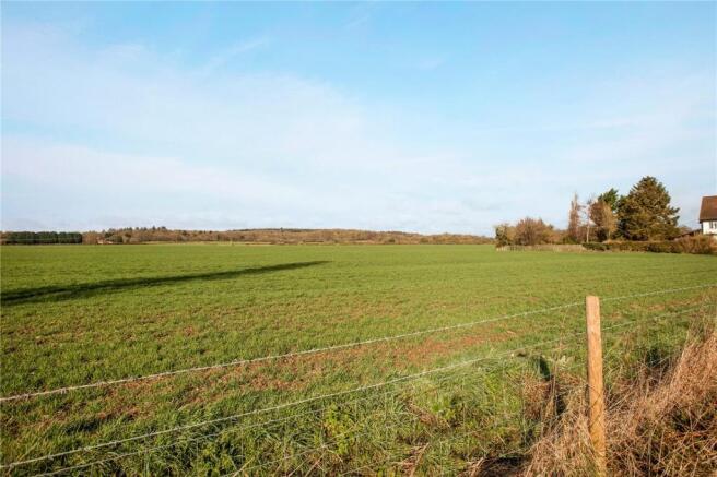 Fields Opposite