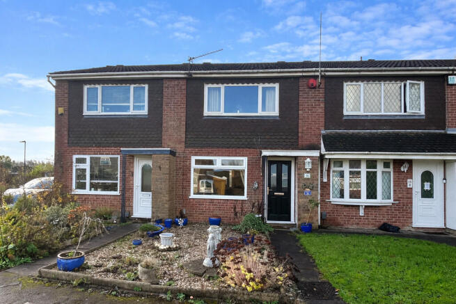 ChatGPT Image Feb...