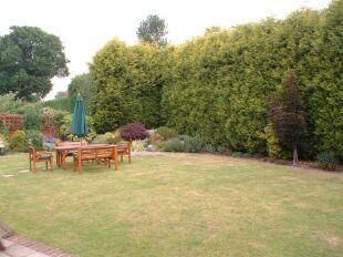 Garden1