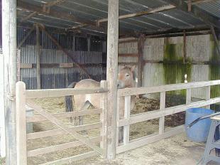 Crew barn