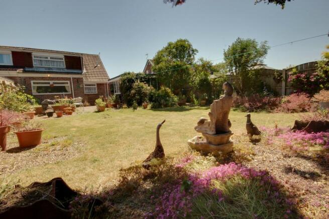 Garden at Back