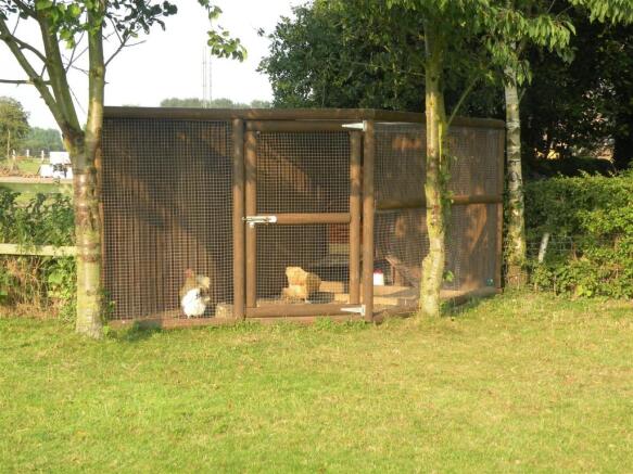 Chicken Run.JPG