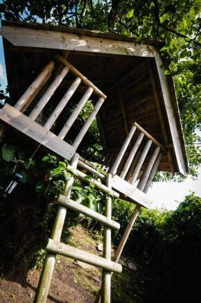 Photo 24
