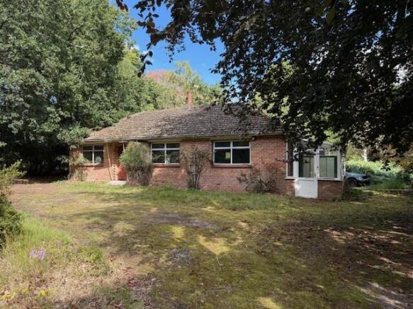 Z9 T202509171616.jpg