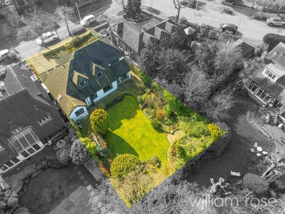 DJI_20250305114913_0566_D copy.jpg