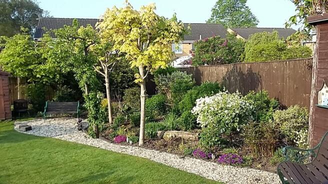 Garden3
