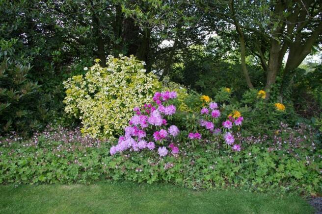 Gardens and groun...