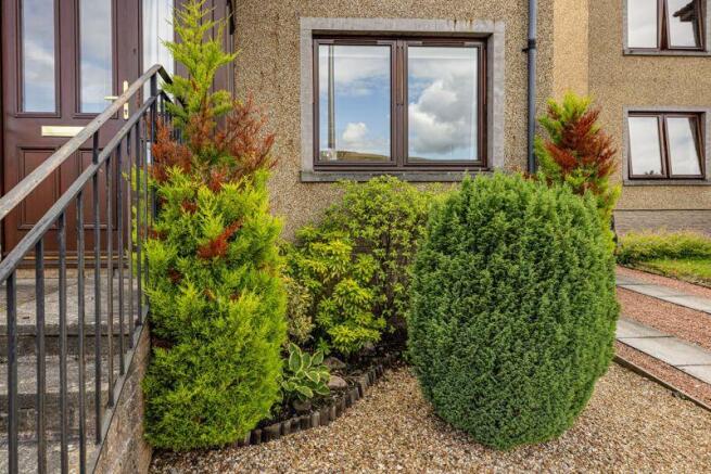 Front Garden Ground