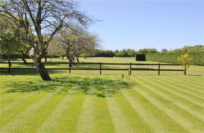 View To Paddock