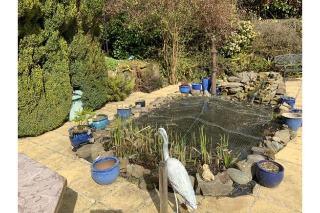 Pond