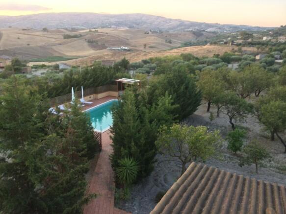 WhatsImage 2026-02-2