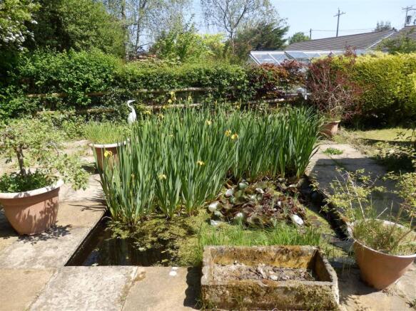 WILDLIFE POND