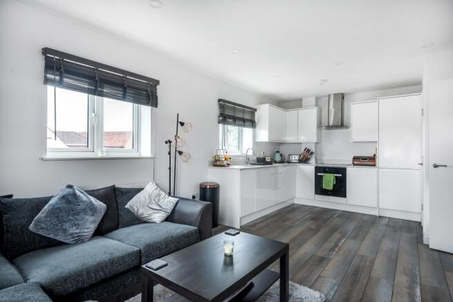 Living / Kitchen Area