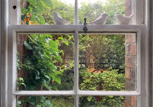 Window