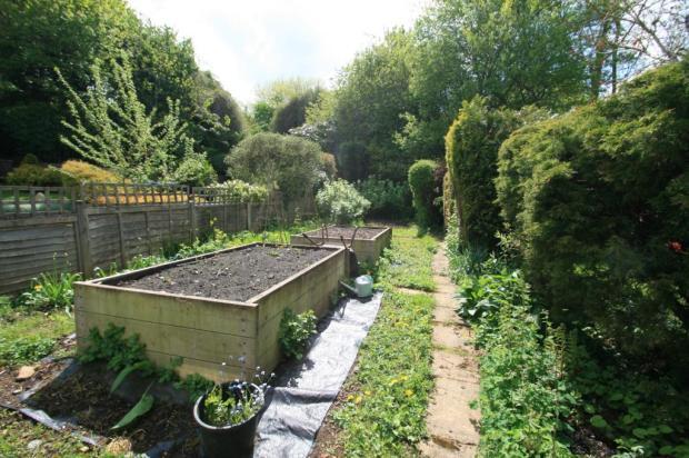 Vegetable Garden