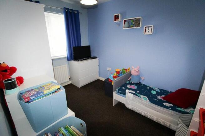 Photo 11