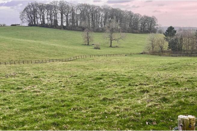 Field