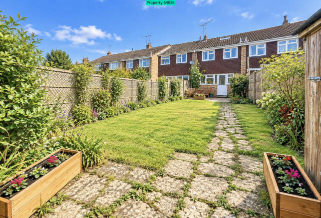 Back garden