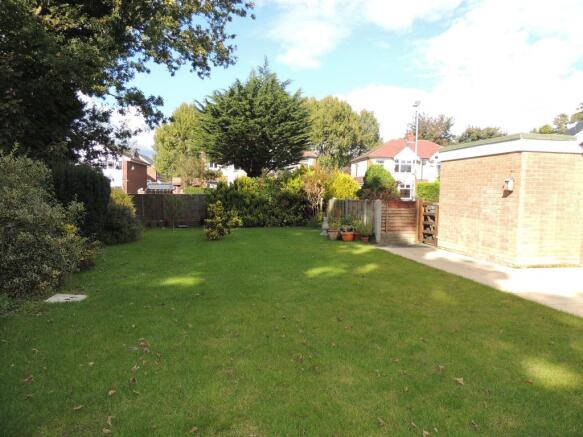 back garden