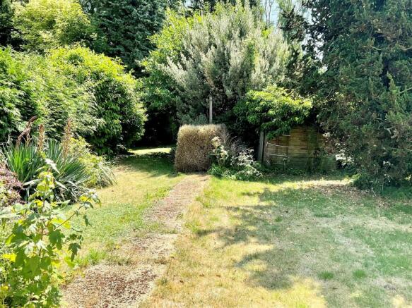 garden 3.jpg