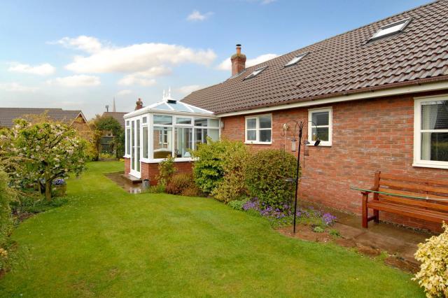 Mature garden