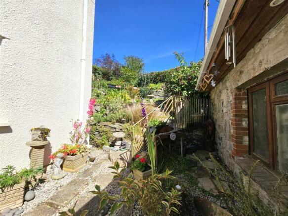 garden 2.jpg