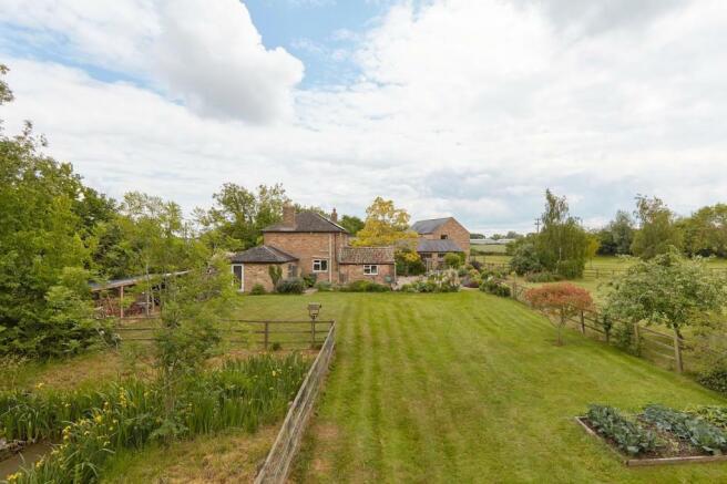 garden 4.jpg