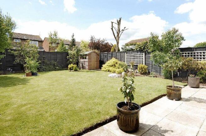 garden