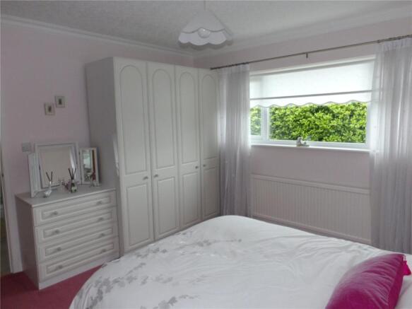 New Image