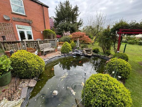 Pond 1