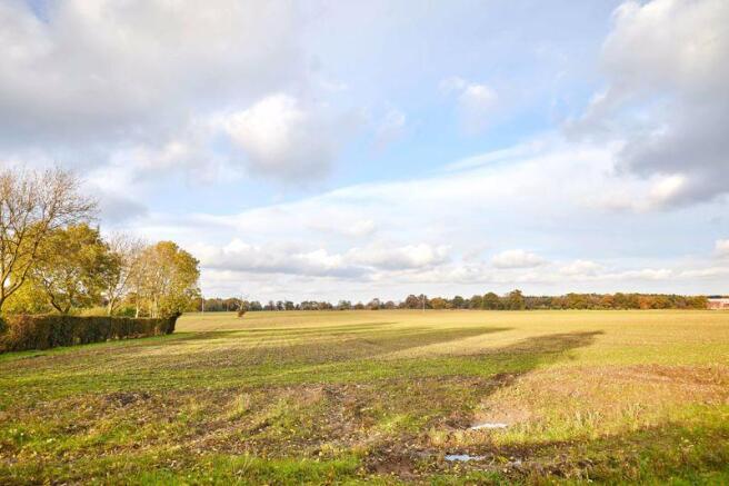 Field Views