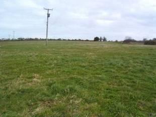 Top Paddock