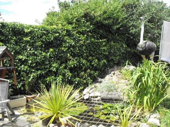 Ornamental Pond