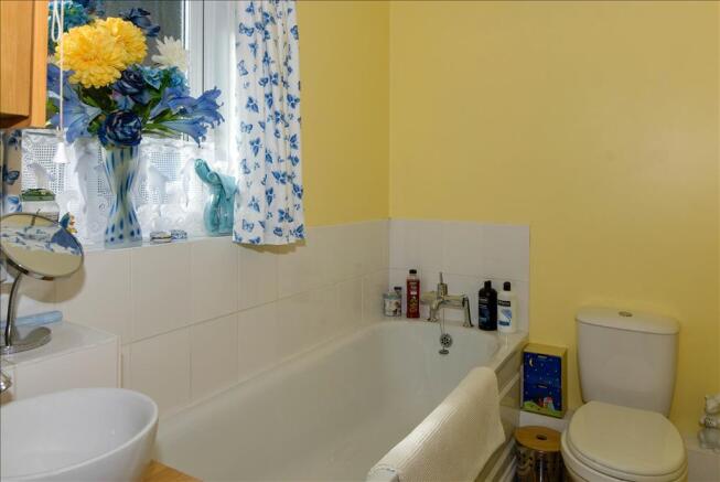 Photo 12