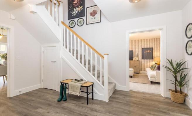 Dandara - The Meadows - The Kingston, Home 16