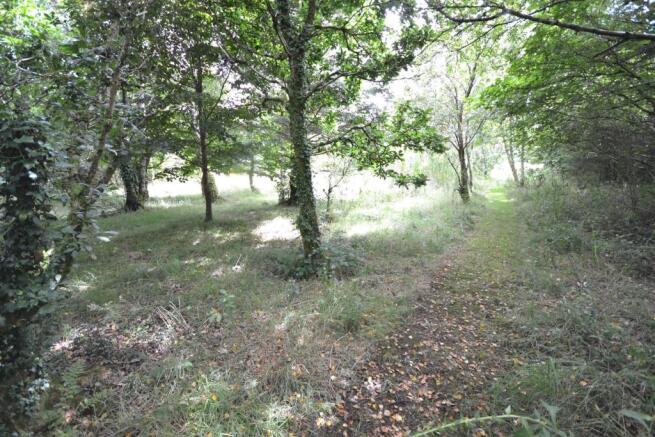Woodland and gardens