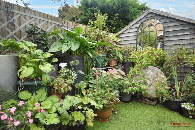 Photo 15