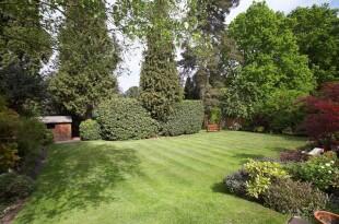 Beautiful gardens