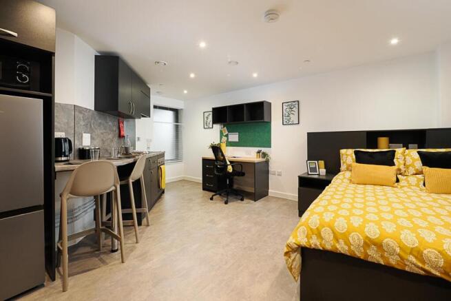Picture 3