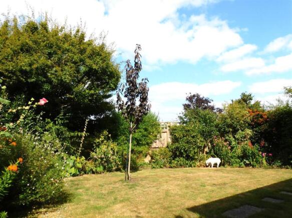 3 mcl garden.JPG