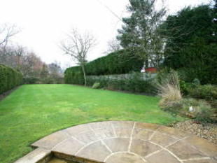 Photo 43