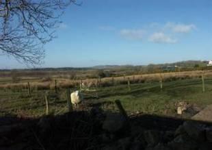 The Land