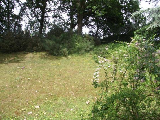 Communal Gardens