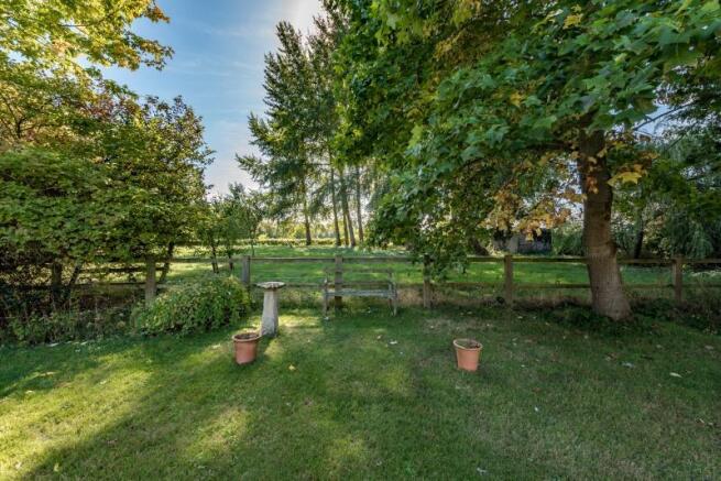 View From Garden