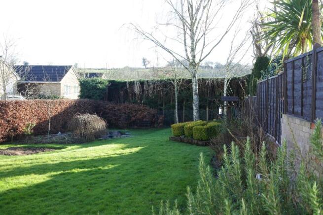 Back Garden 2