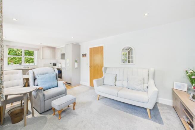 Open Plan Living Room and Kitchen