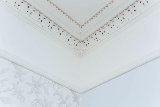 Ornate Coving
