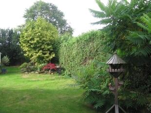 Rear Garden 1