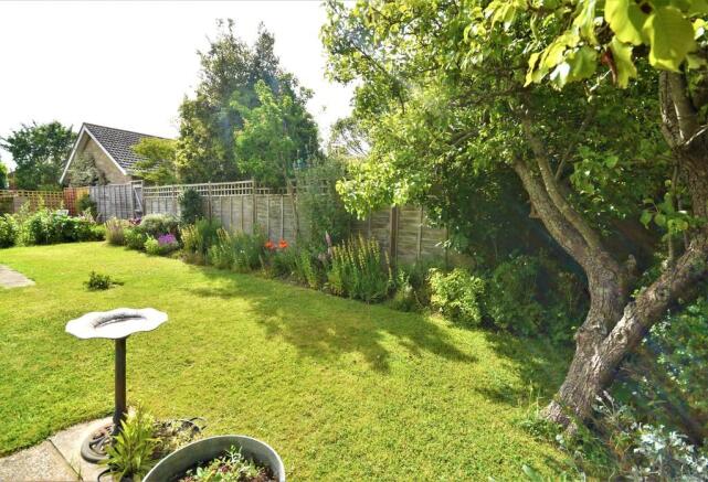 garden 1